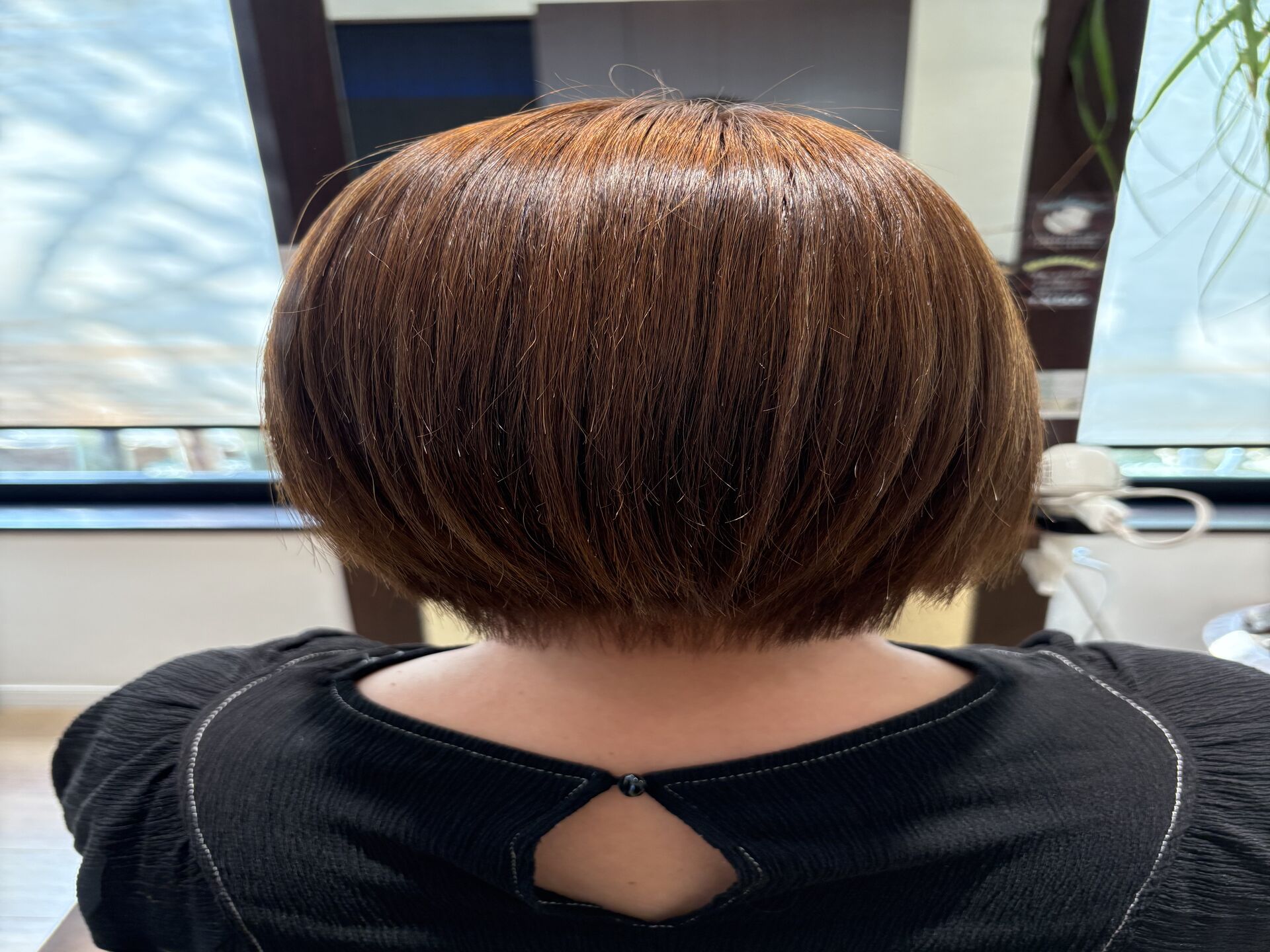 ココナッツストレート