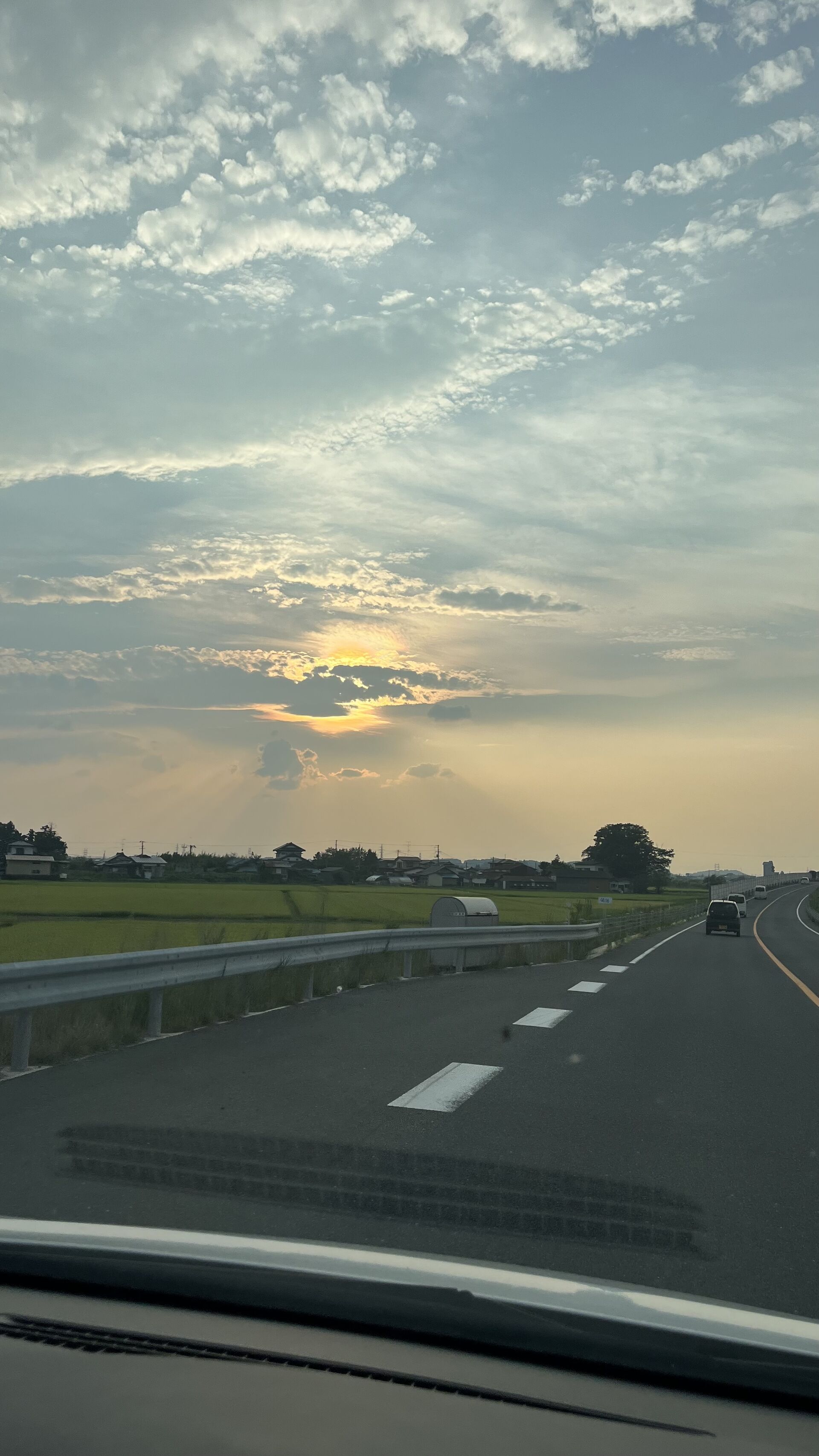 残暑見舞い申し上げます🌞
