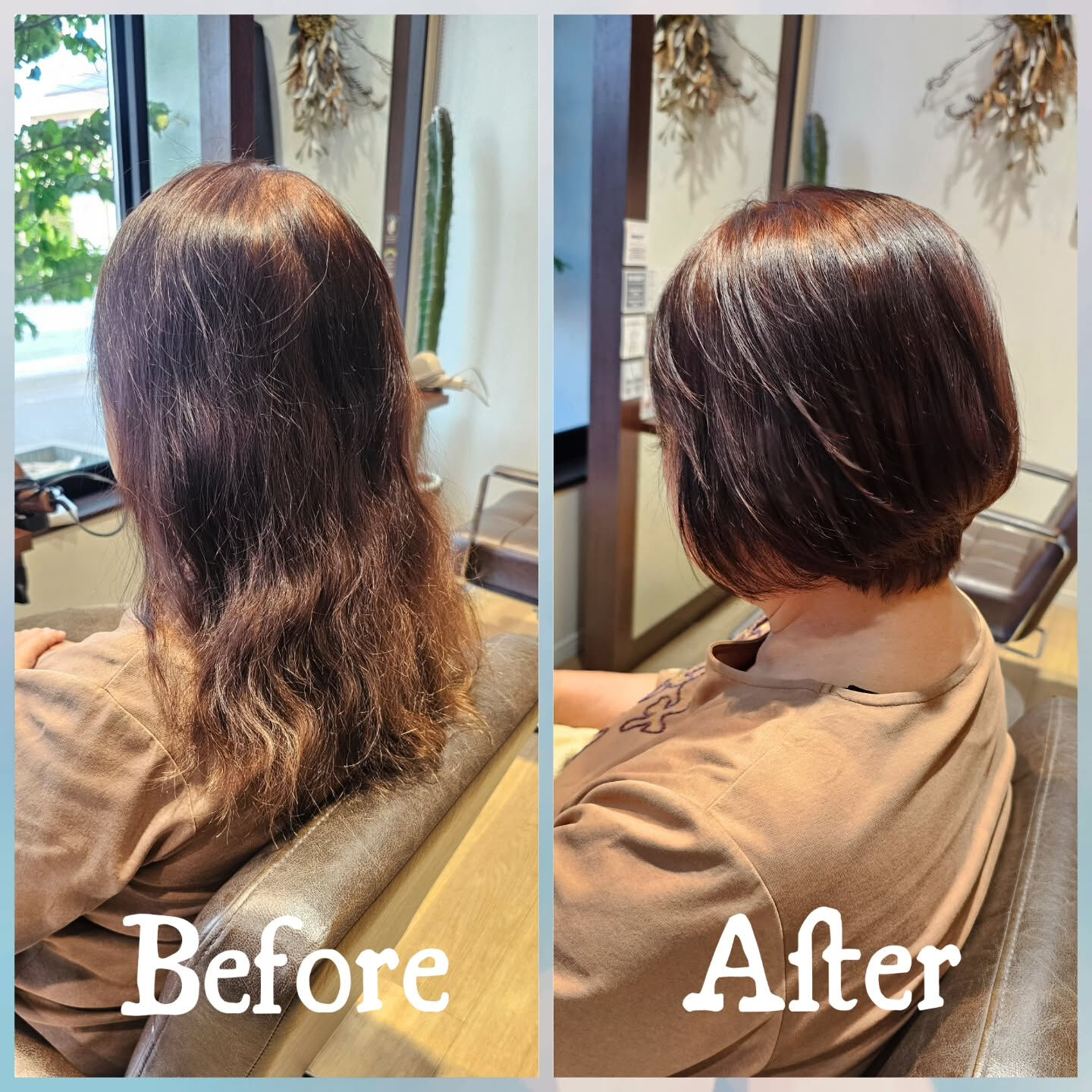 ✂️【ロングからショートへ大胆チェンジ✨】