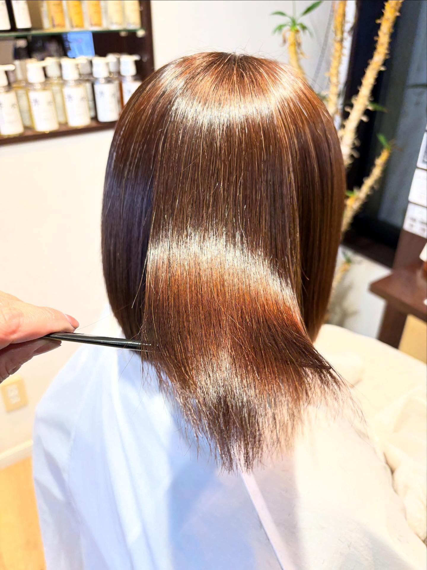 ココナッツストレート🥥のお客様👩✨