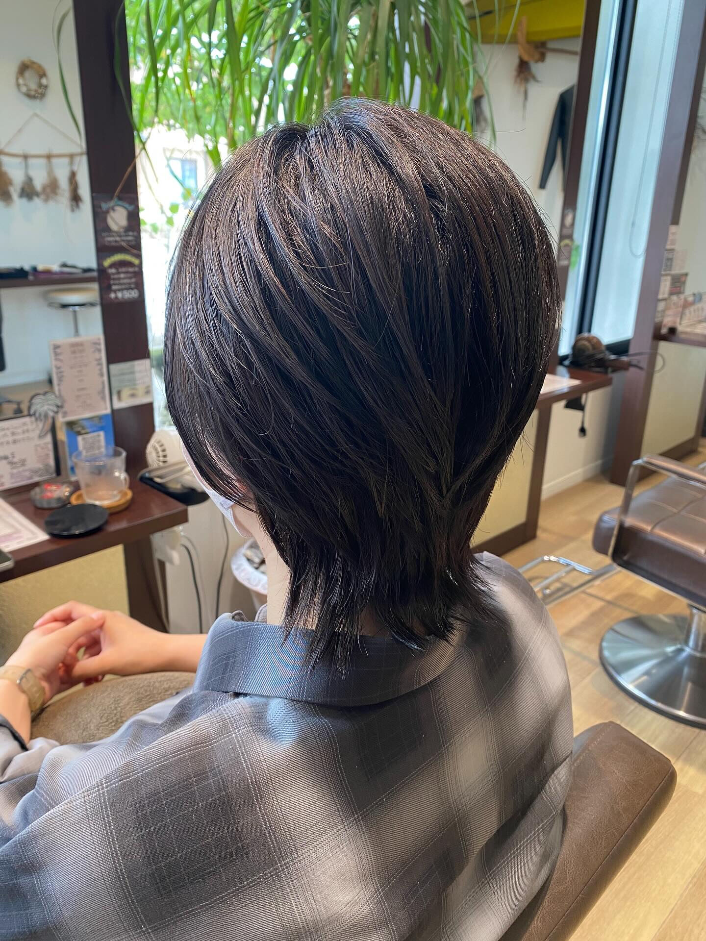 ショートウルフ🐺✂︎