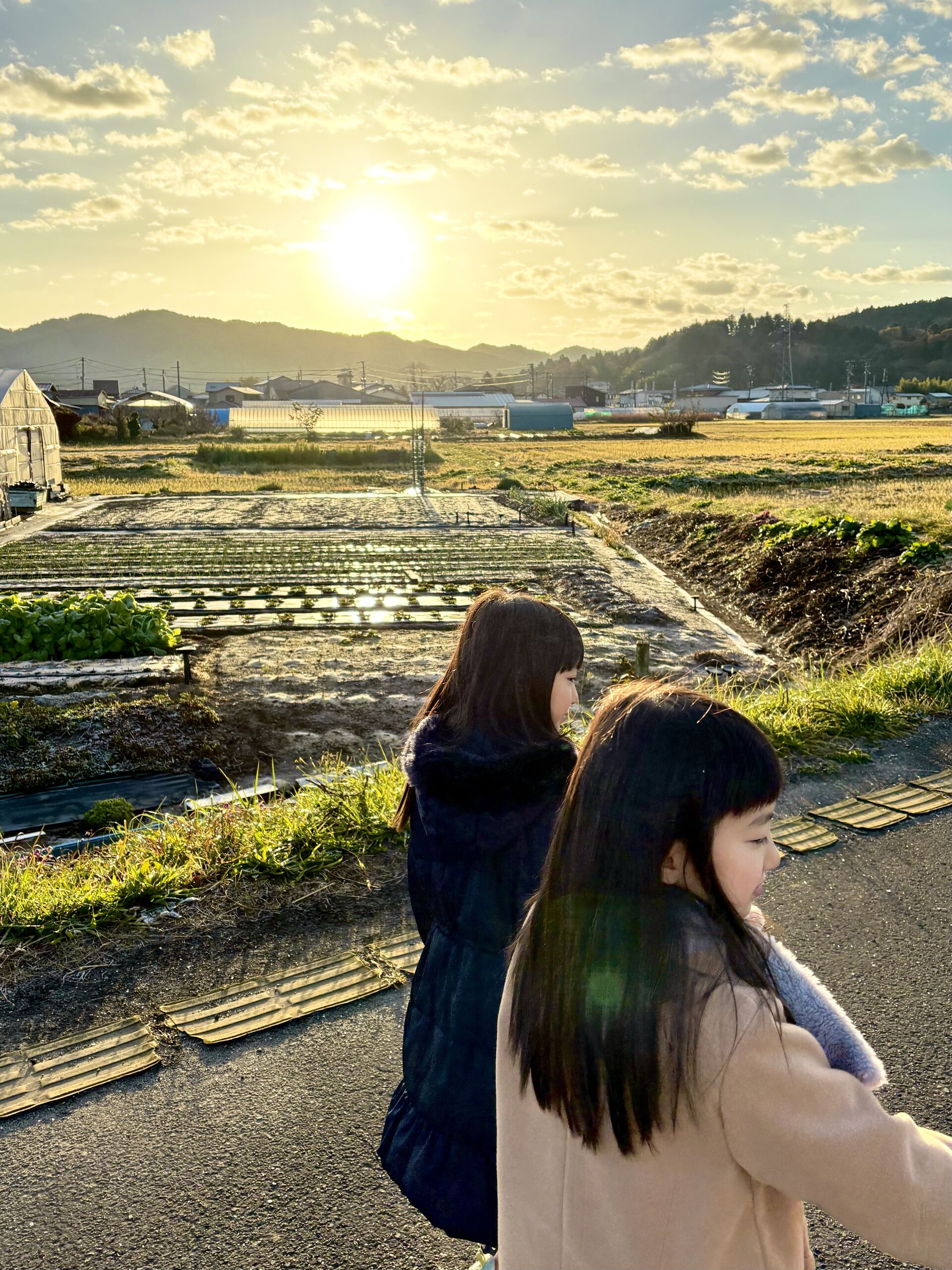 🌞あさんぽ🌞