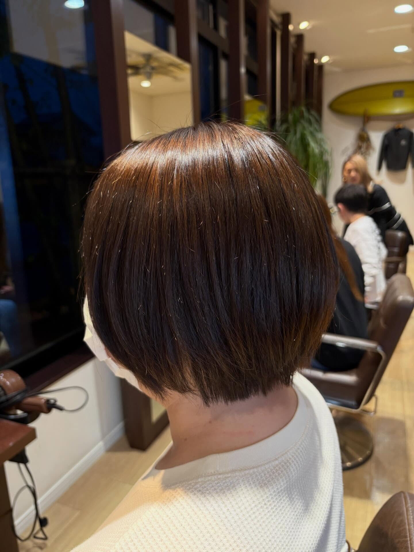il mareの田代です🙇‍♂️