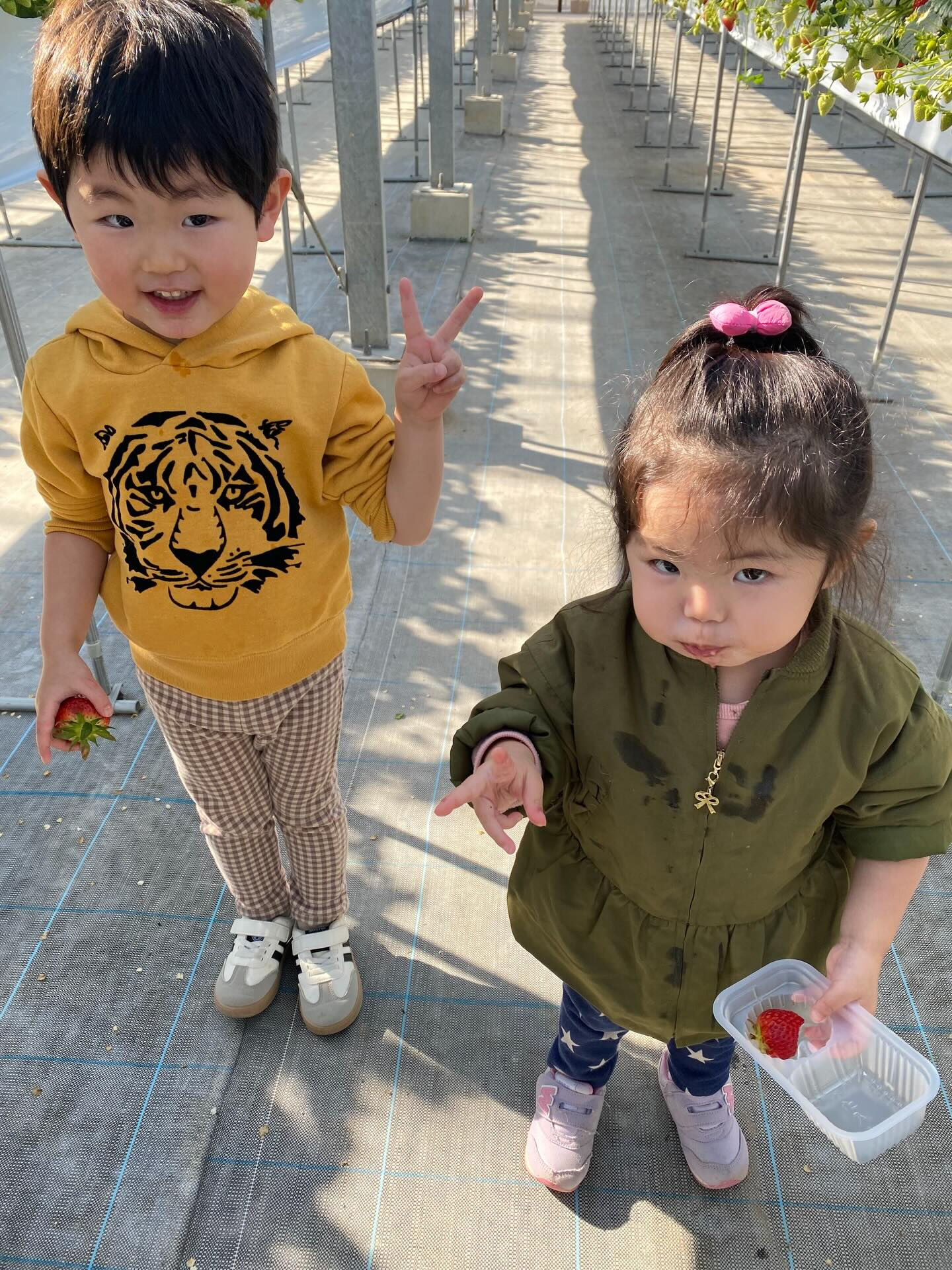 いちご狩りに行って来ました🍓
