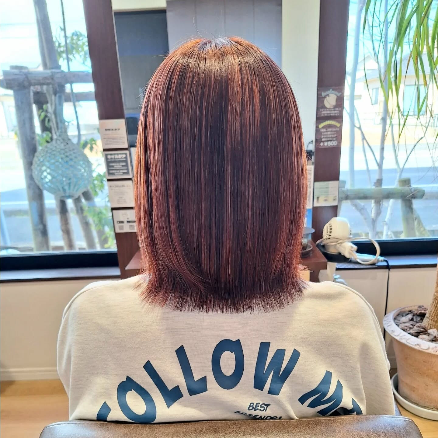 ハイライト