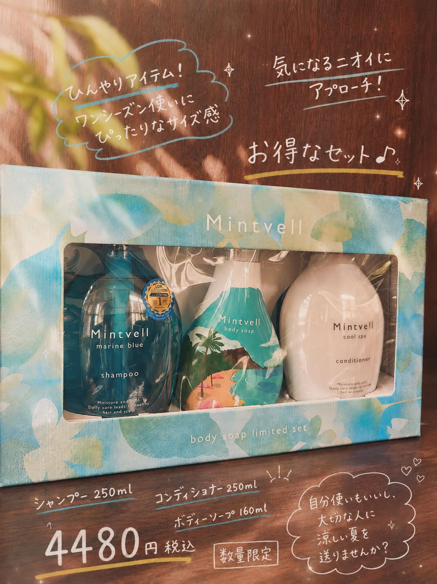 ＼数量限定！夏のひんやりギフトセット🌿／