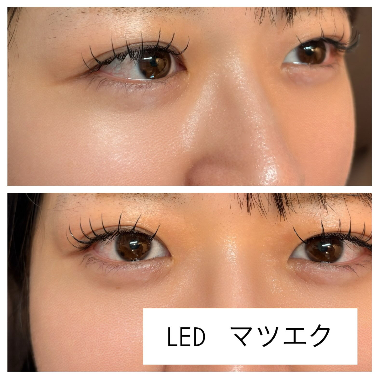 専用のLEDライトでグルーを硬化する