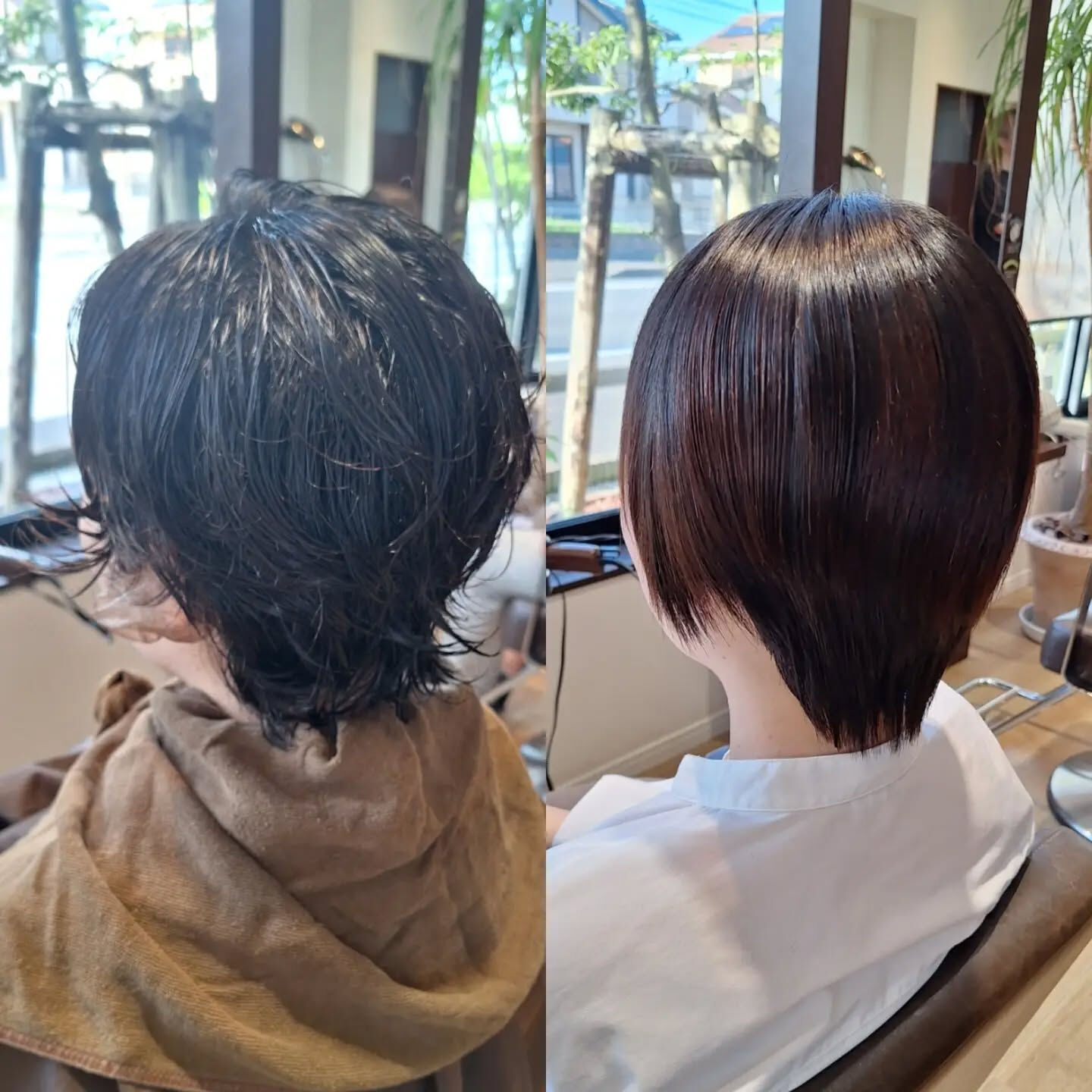 ココナッツストレートで、毎朝のスタイリングをもっとラクに✂️