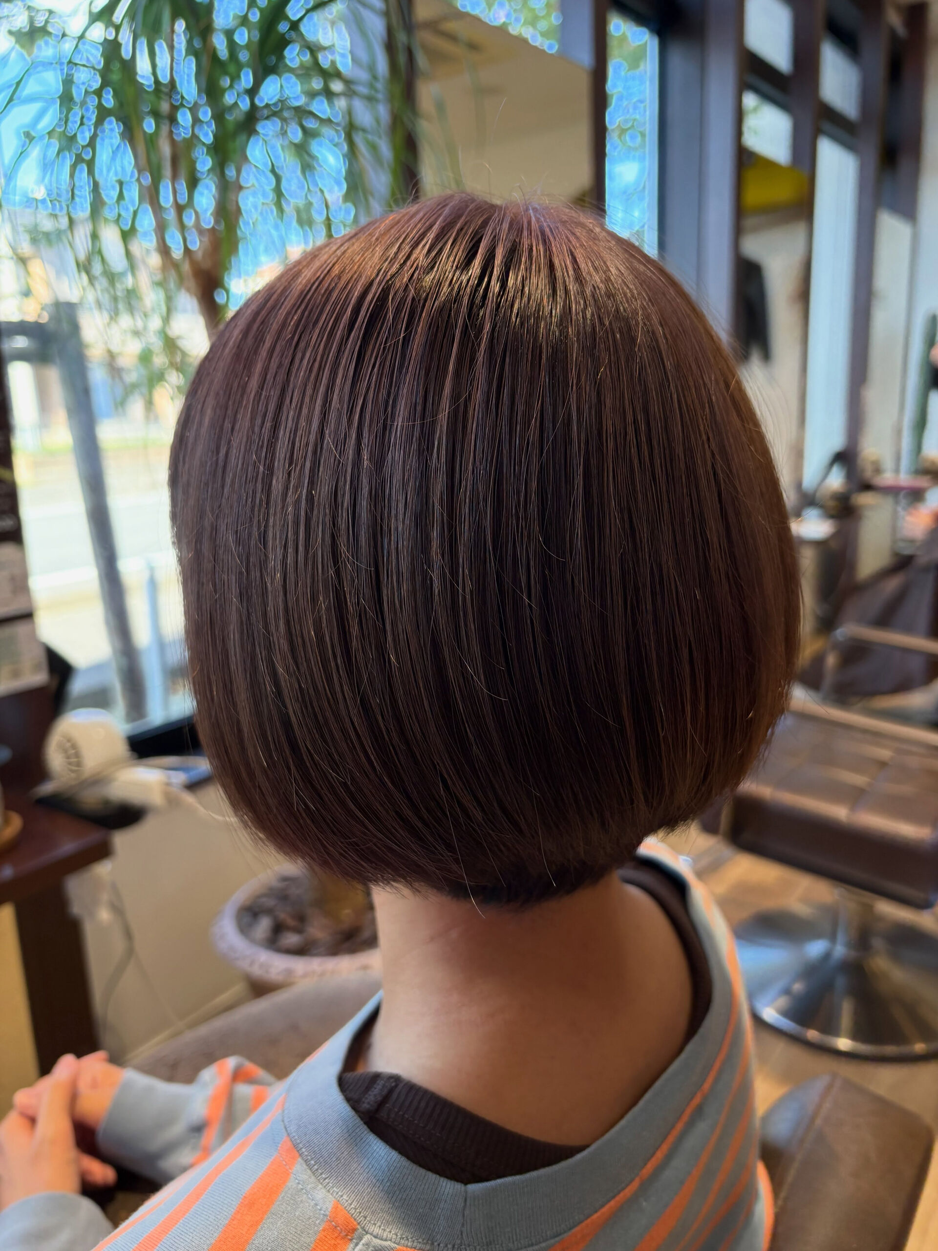 il mareの田代です🙇‍♂️